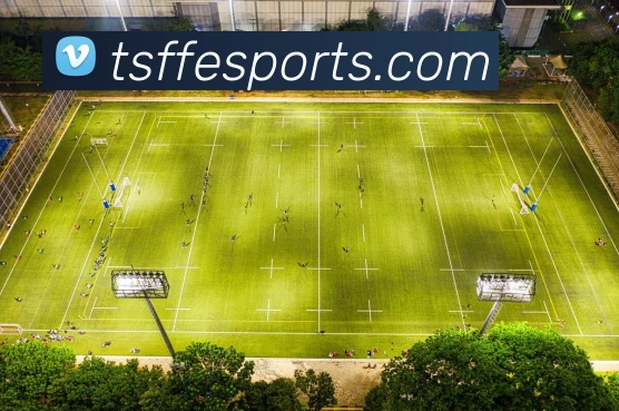 球赛投注平台生态图